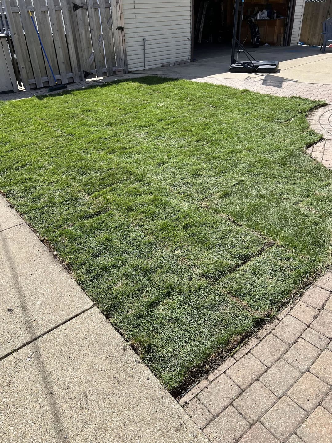 Freshly laid sod on a well-maintained lawn with a paved patio in a residential area.
