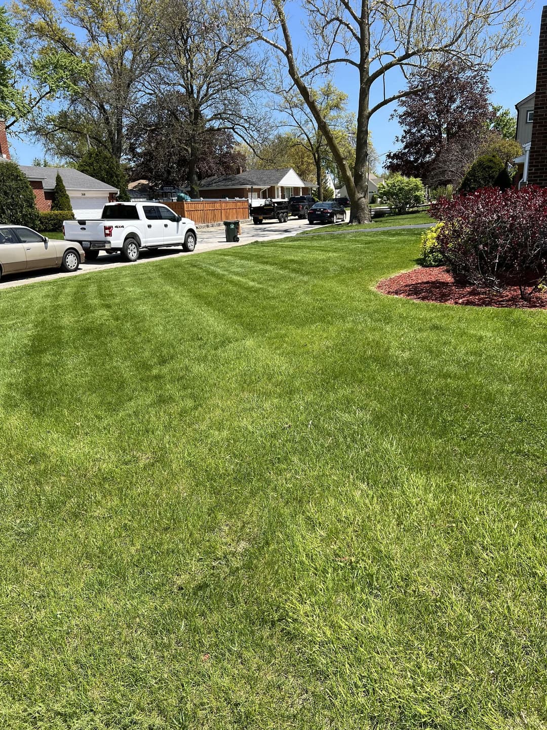 Lush, green lawn with striped mowing patterns and a sunny suburban neighborhood backdrop.
