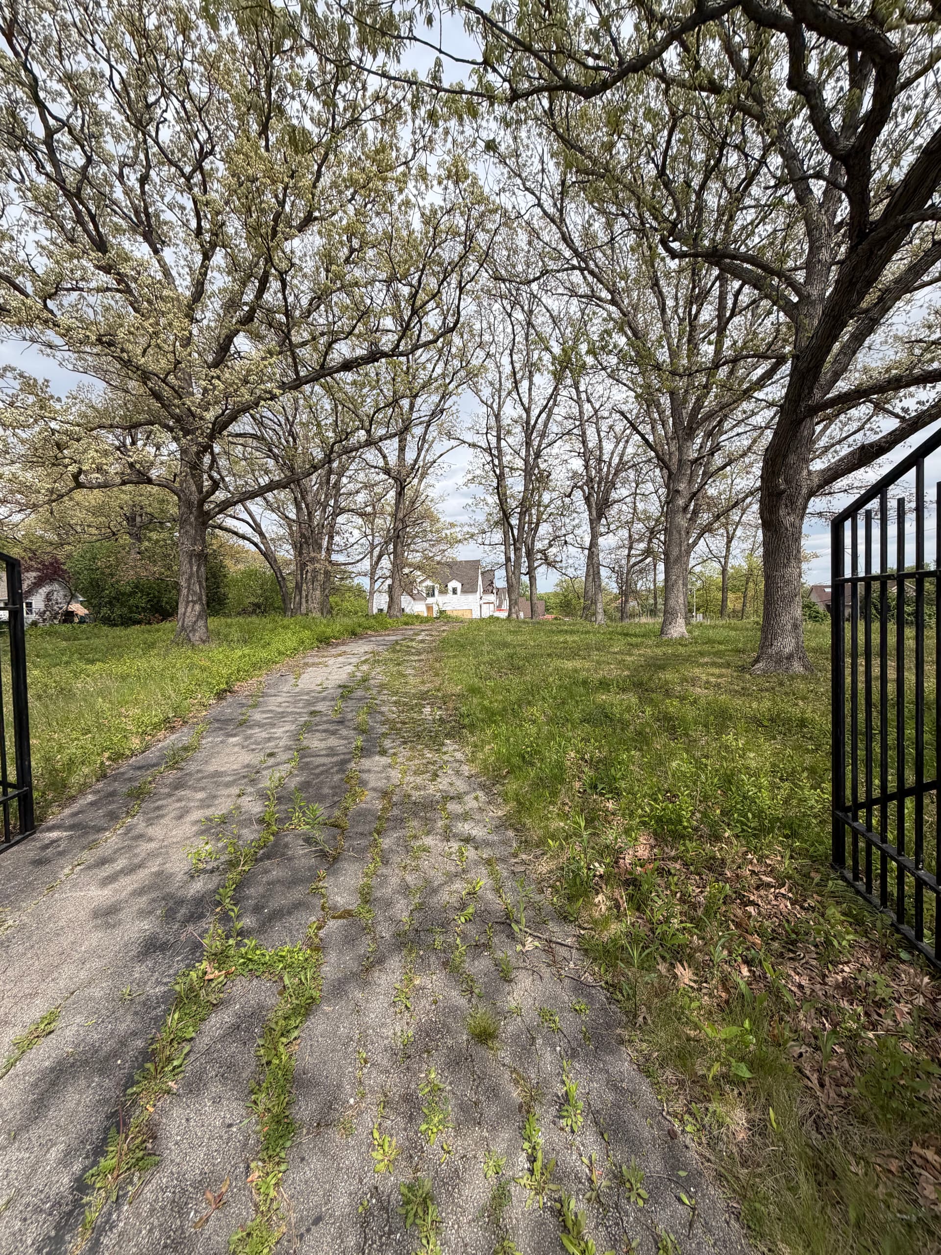 Tree Clearing for a New Home Build in Gurnee image