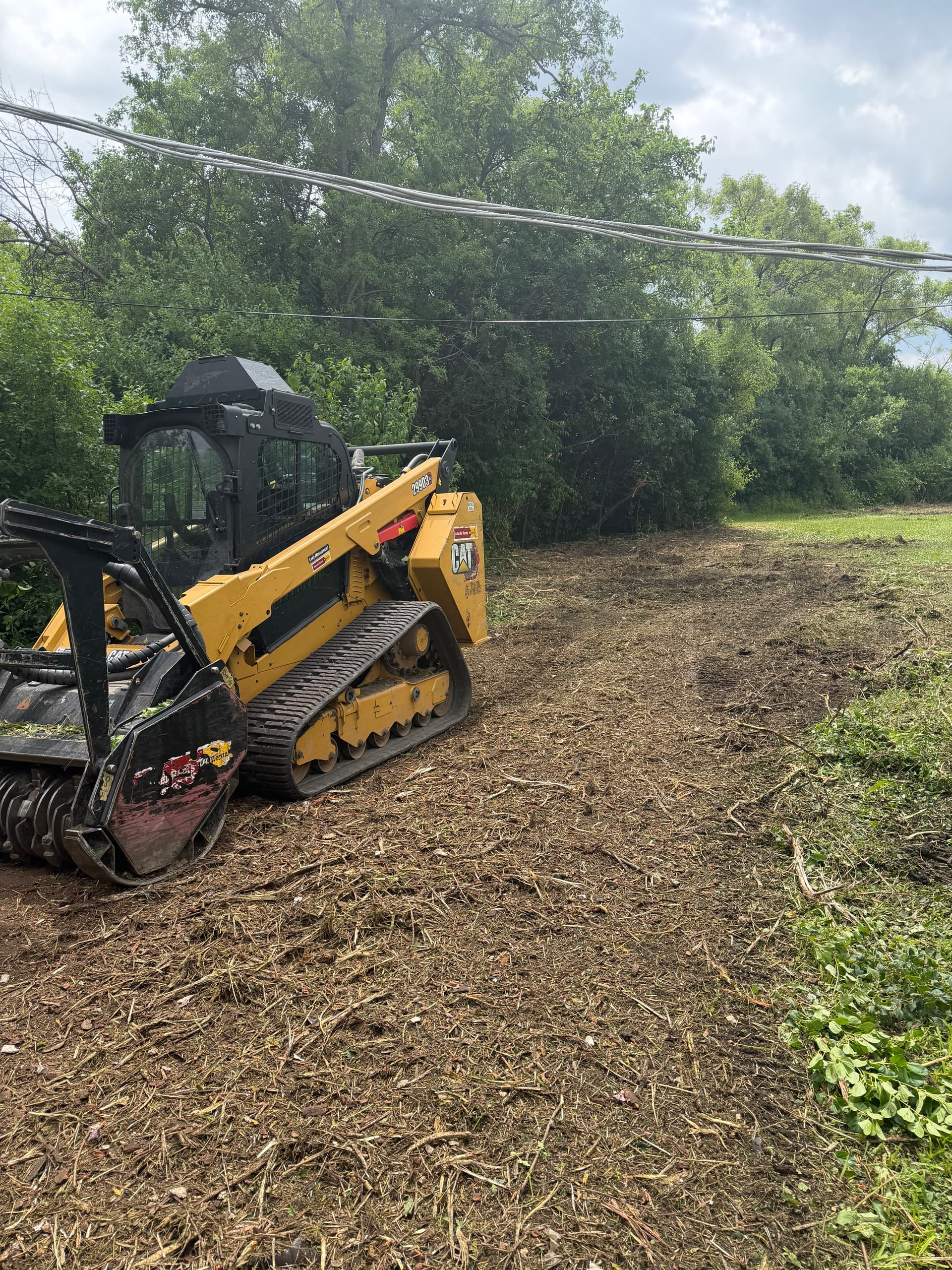 Forestry Mulching Clears Thick Brush in Elmhurst image