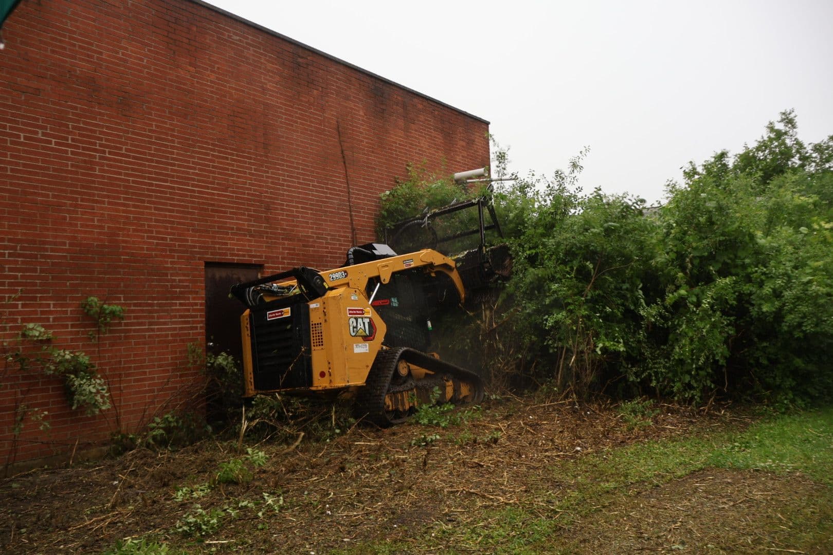 Project Forestry Mulching Clears Thick Brush in Lake Geneva image