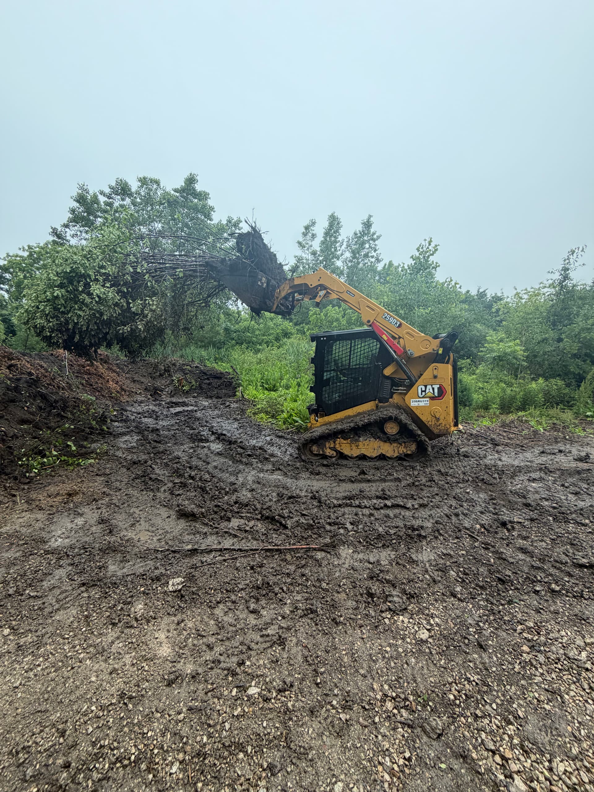 Land Clearing and Grading Work in Lake Zurich