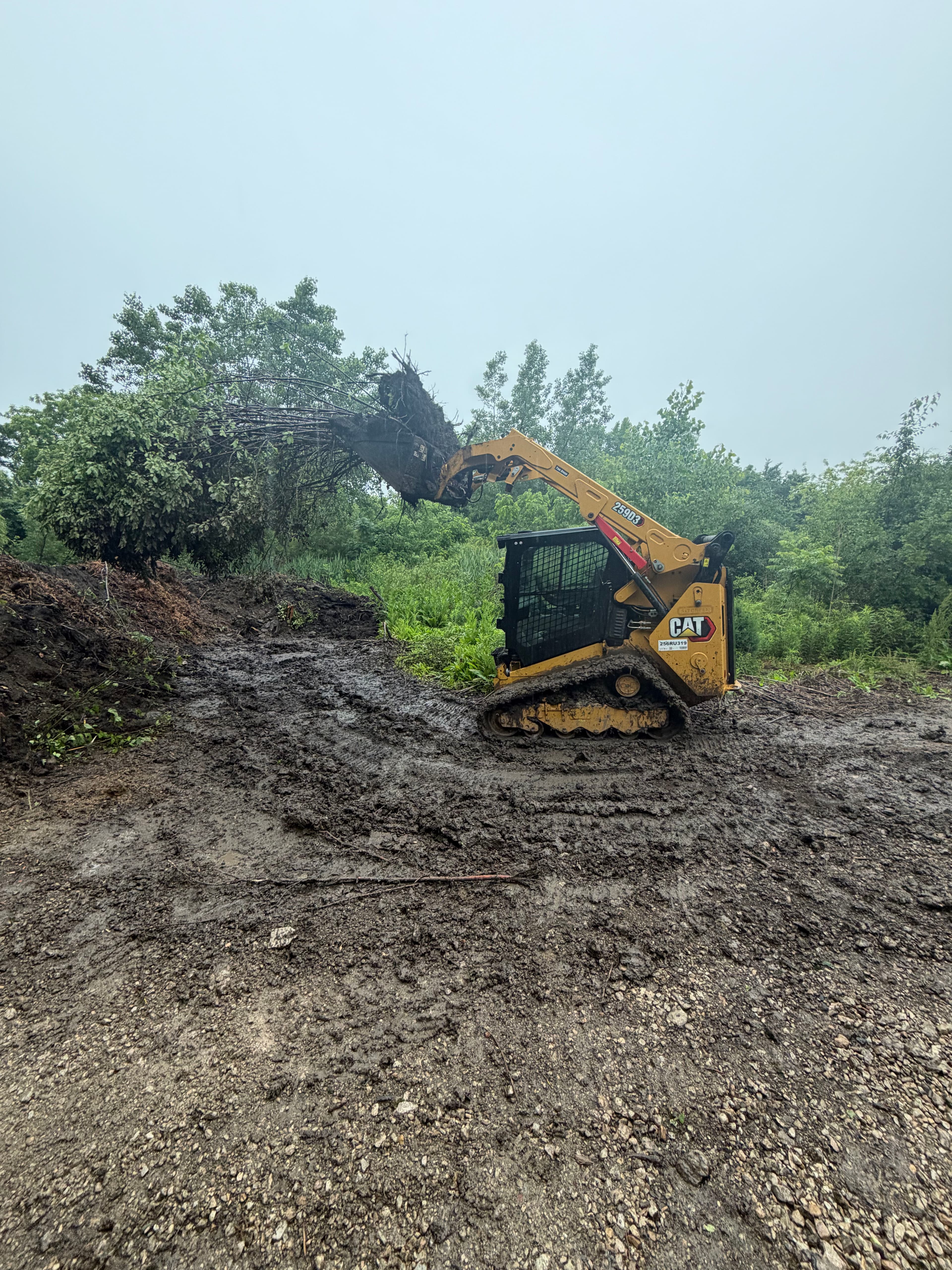 Project Land Clearing and Grading Work in Lake Zurich image