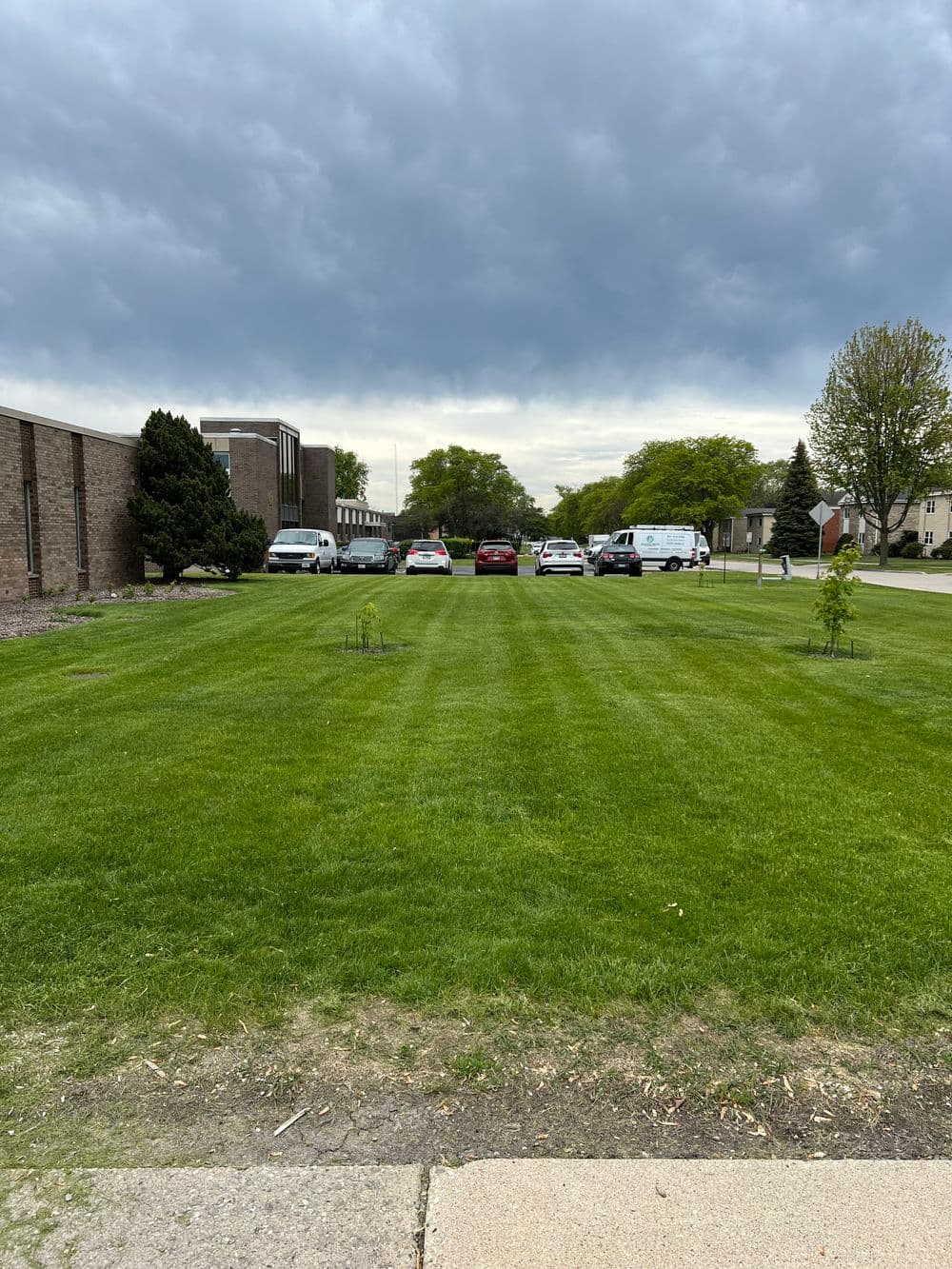 Grassy parking area with several cars and cloudy sky in background.