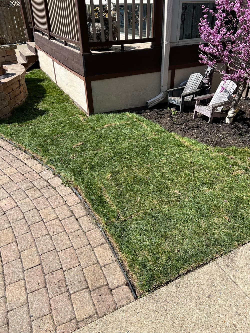 Lawn area with square stone pathway and pink flowering tree beside a patio.