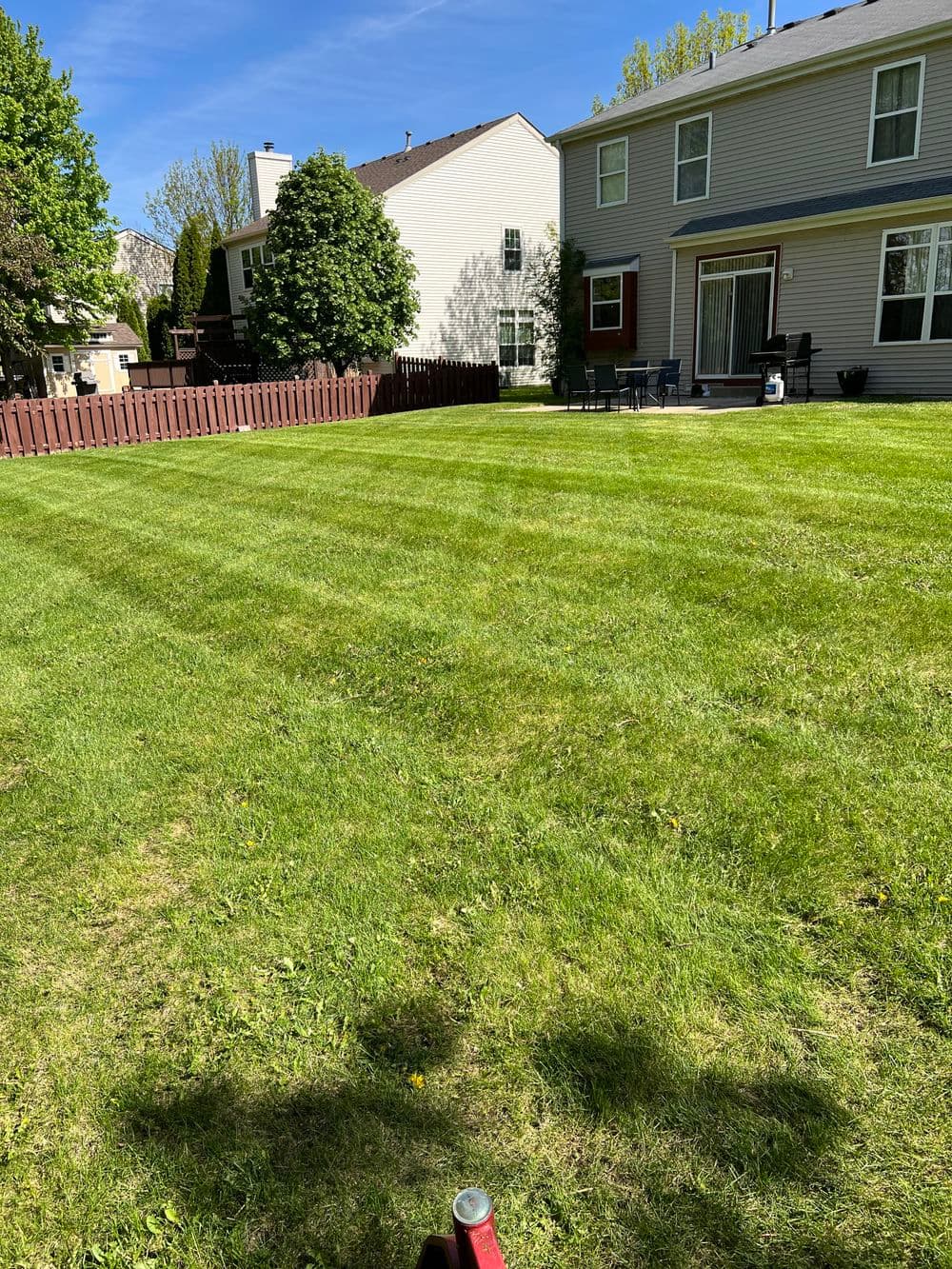Lush green lawn with freshly mowed grass and two houses in the background.