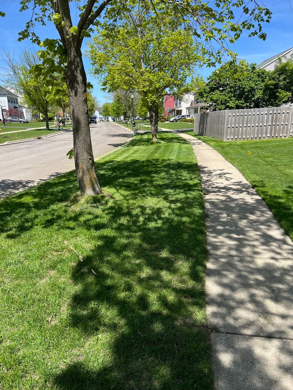 Lush green lawn and shaded sidewalk on a sunny residential street in spring.