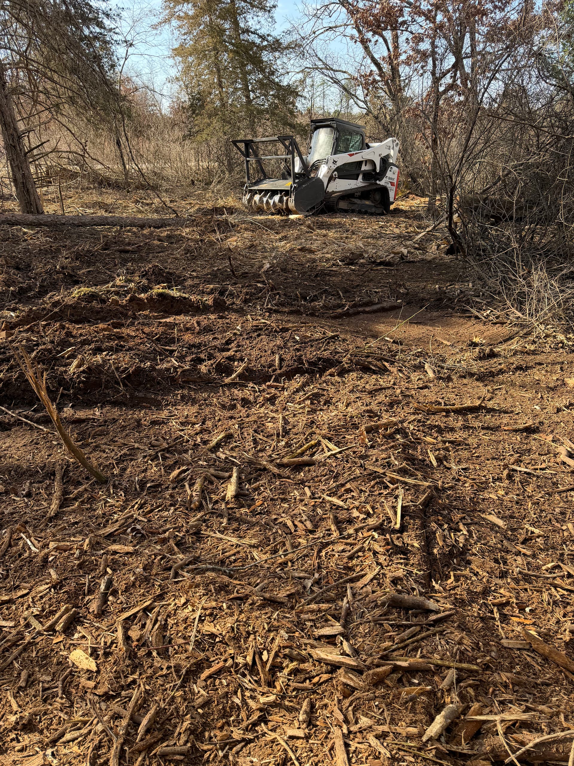 Efficient Overgrowth Clearing with Skid Steer in Dane County image
