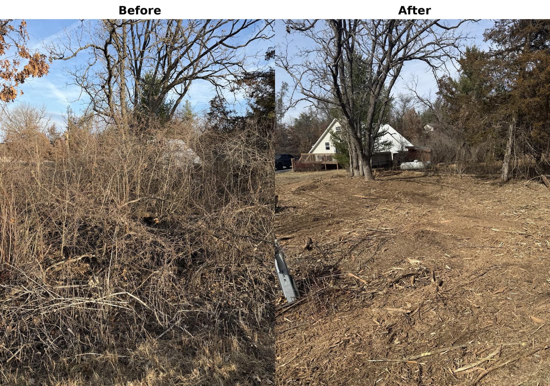 Land Clearing Transformation in Dane County WI image